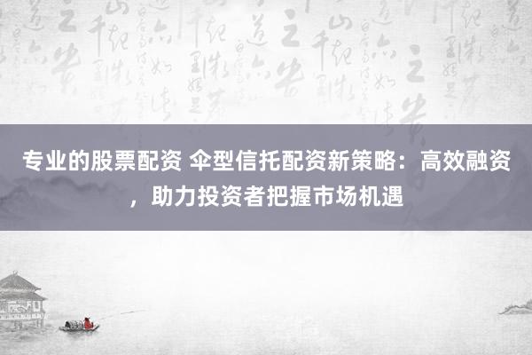 专业的股票配资 伞型信托配资新策略：高效融资，助力投资者把握市场机遇