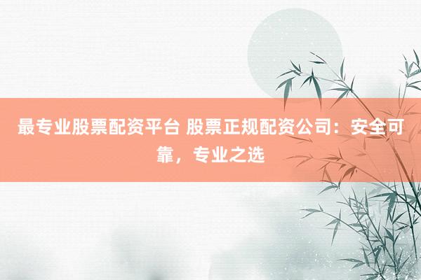 最专业股票配资平台 股票正规配资公司：安全可靠，专业之选