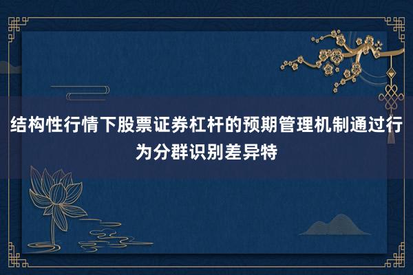 结构性行情下股票证券杠杆的预期管理机制通过行为分群识别差异特