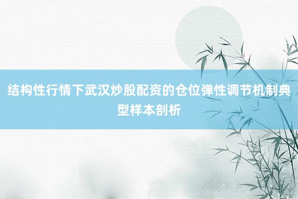 结构性行情下武汉炒股配资的仓位弹性调节机制典型样本剖析