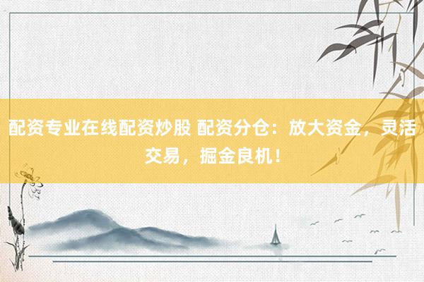 配资专业在线配资炒股 配资分仓：放大资金，灵活交易，掘金良机！